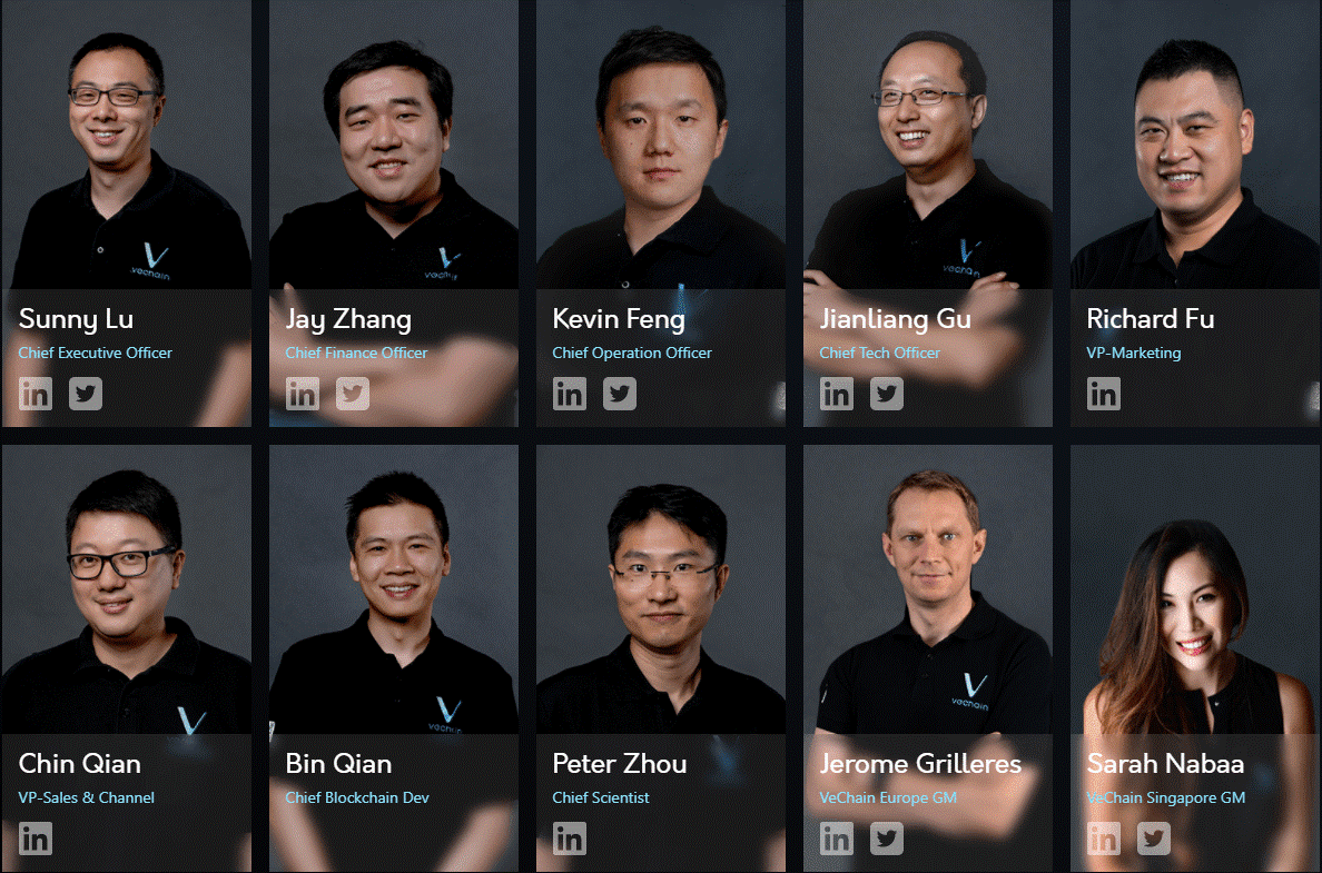 This image has an empty alt attribute; its file name is vechain-team.png